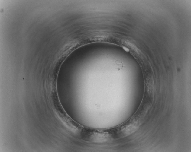 X0000063500455200601231441