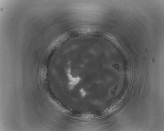 X0000063500458200601231441