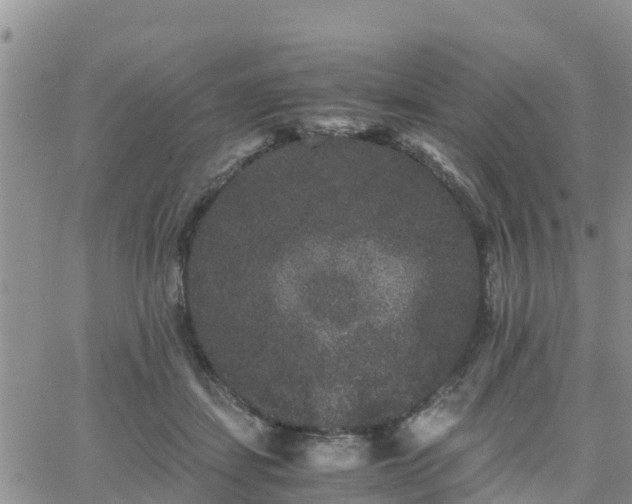 X0000063500459200601231441