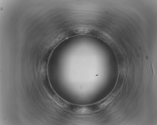 X0000063500460200601231441