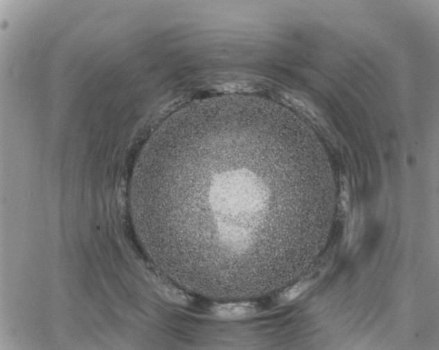 X0000063500461200601231441