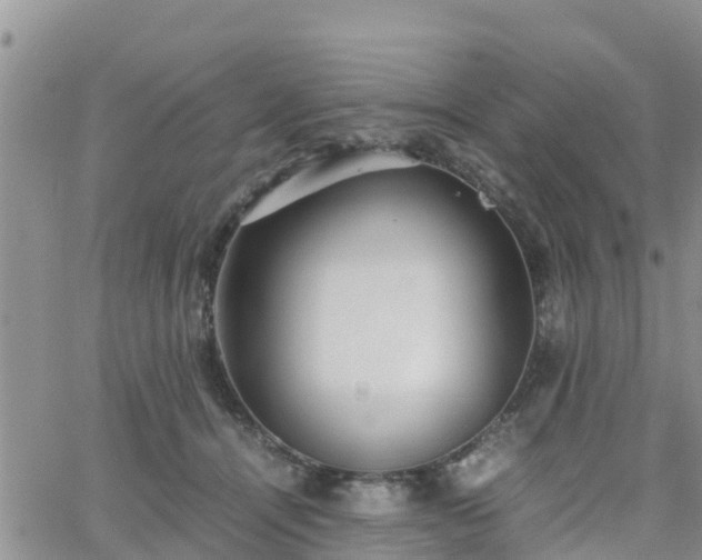 X0000063500464200601231441