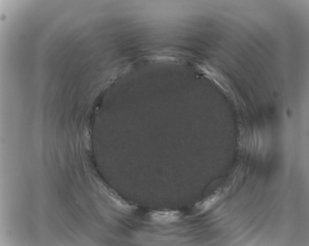 X0000063500465200601231441