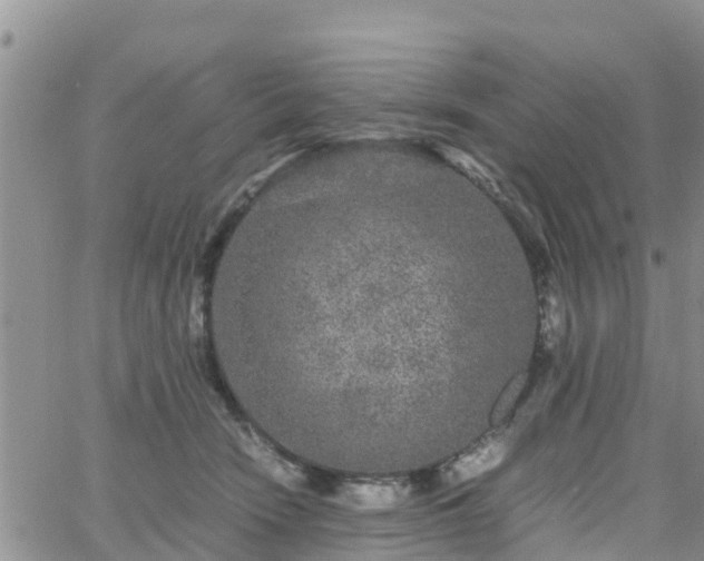 X0000063500466200601231441