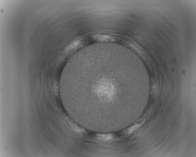 X0000063500469200601231441