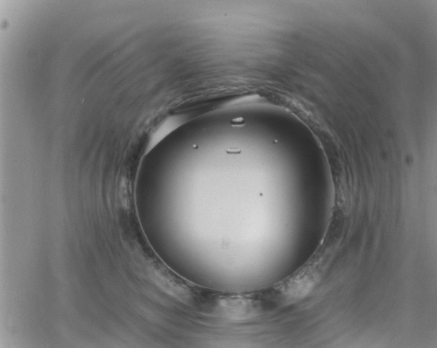 X0000063500470200601231441