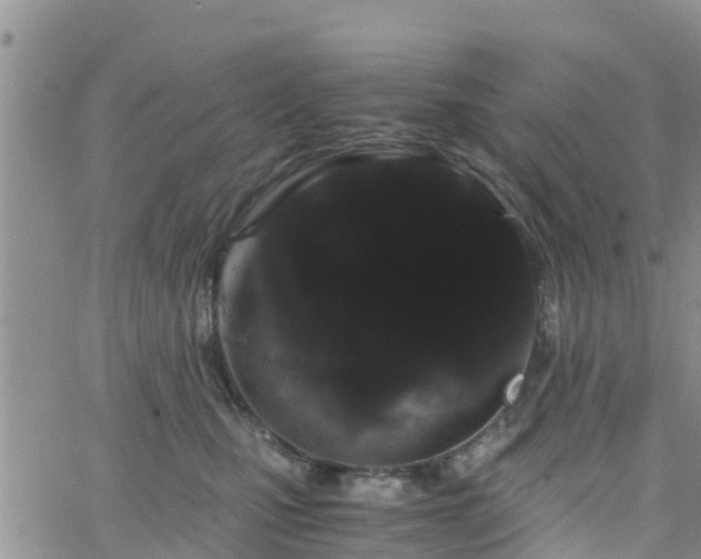 X0000063500471200601231441