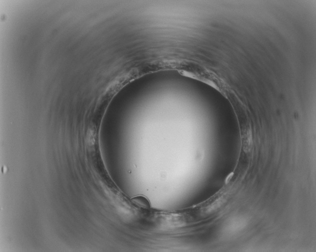 X0000063500472200601231442