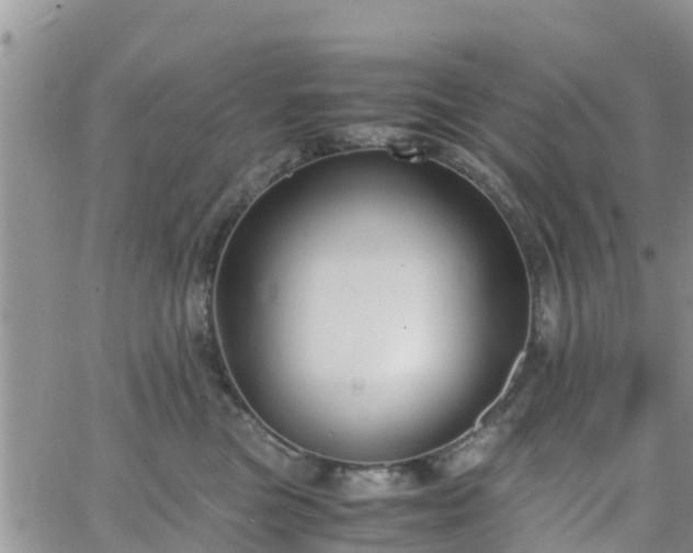 X0000063500473200601231442