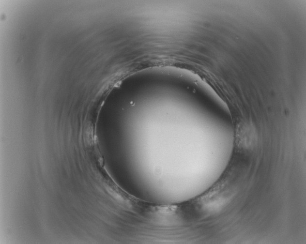 X0000063500474200601231442