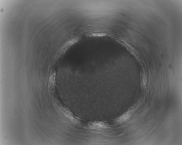 X0000063500475200601231442