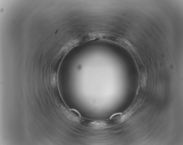 X0000063500477200601231442