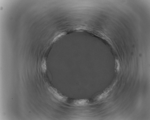 X0000063500479200601231442