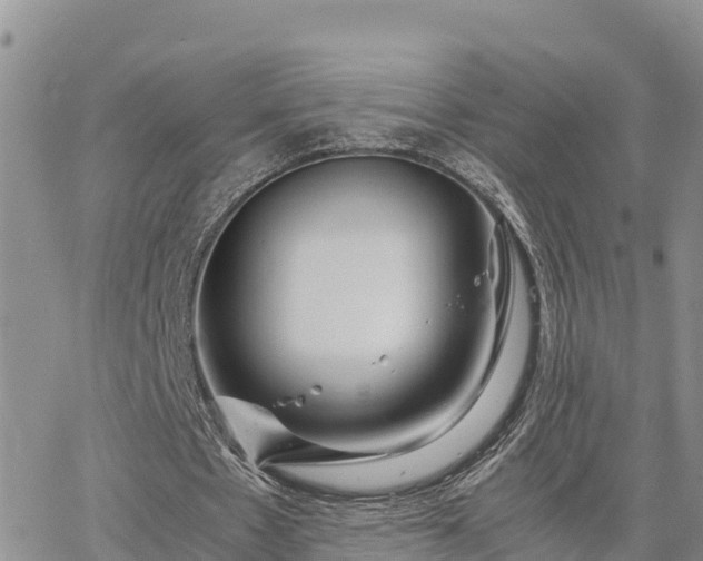 X0000063500481200601231441