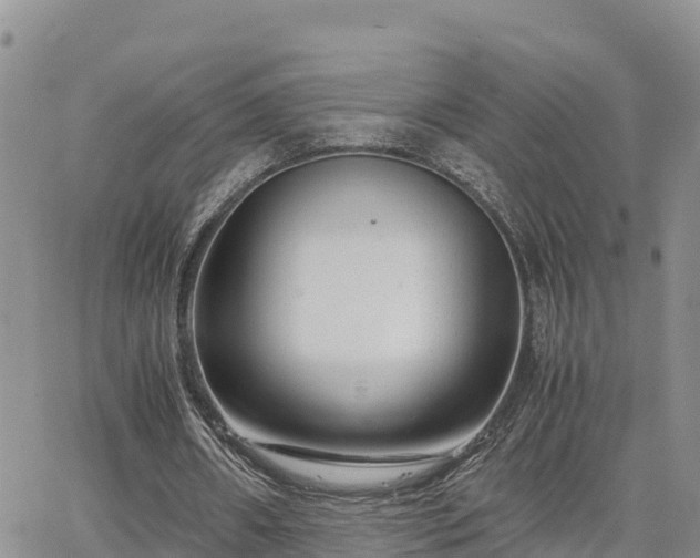 X0000063500482200601231441