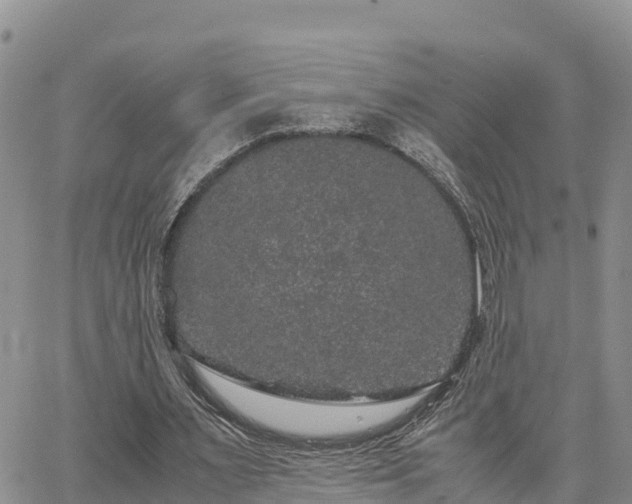 X0000063500483200601231441