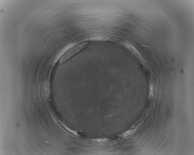 X0000063500484200601231441