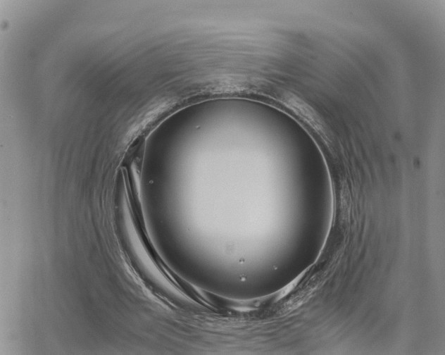 X0000063500485200601231441