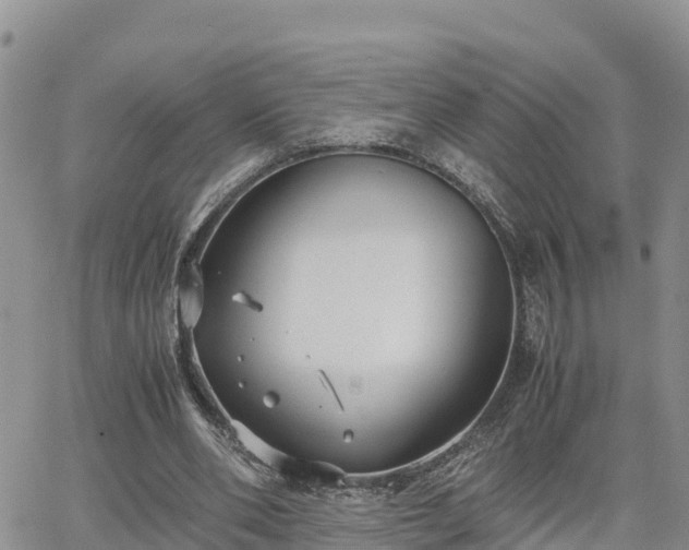 X0000063500486200601231441