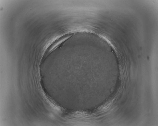 X0000063500487200601231441