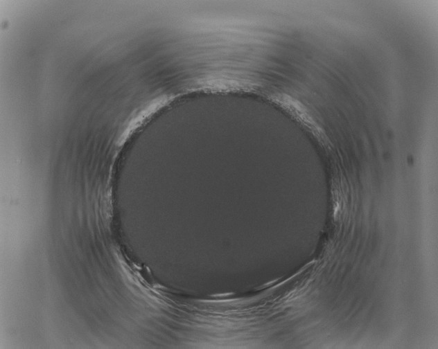 X0000063500488200601231441