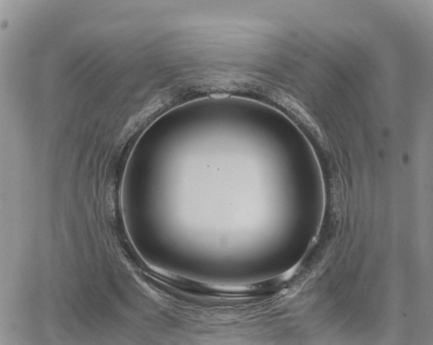 X0000063500489200601231441