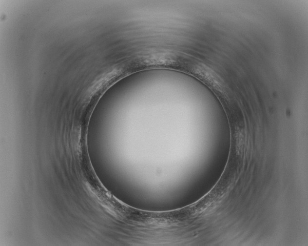 X0000063500490200601231441