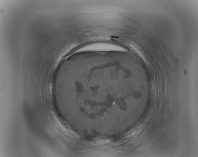 X0000063500491200601231441