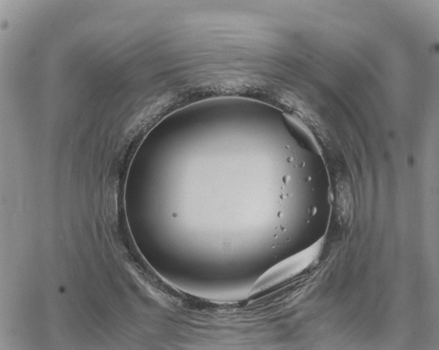 X0000063500493200601231441