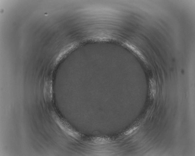 X0000063500494200601231441