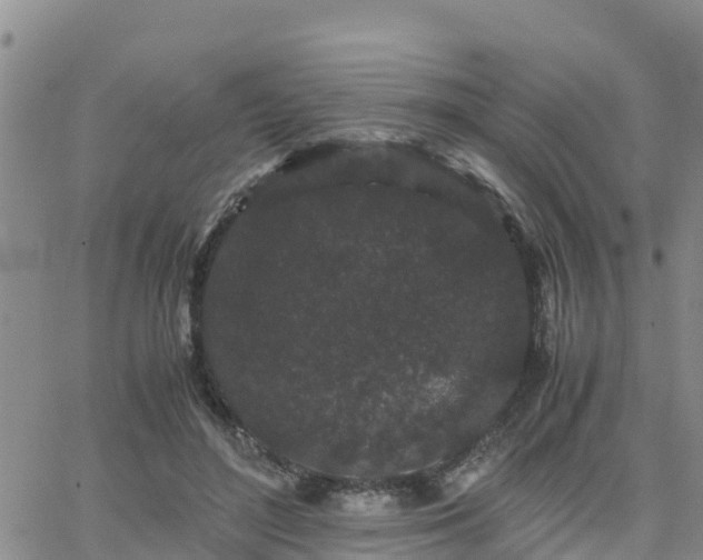 X0000063500500200601231441