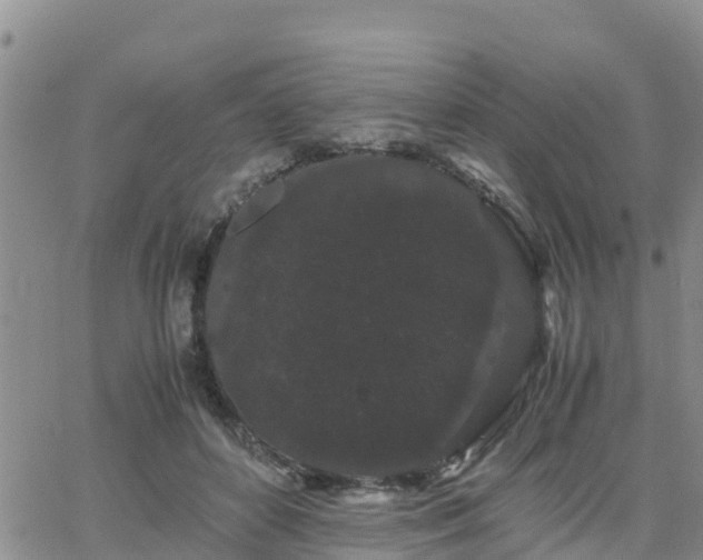 X0000063500504200601231440