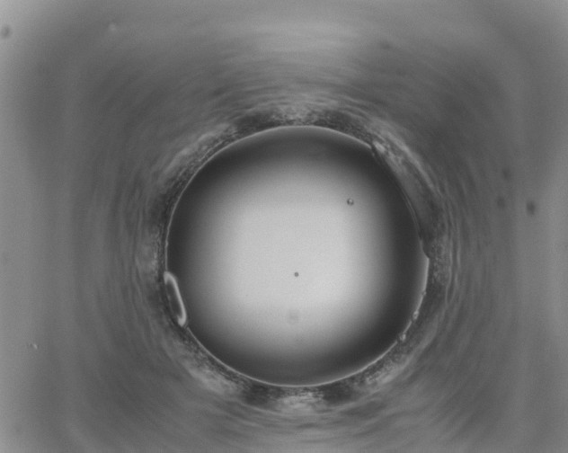 X0000063500505200601231440