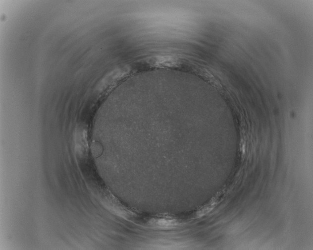 X0000063500506200601231440