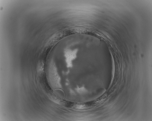 X0000063500507200601231440