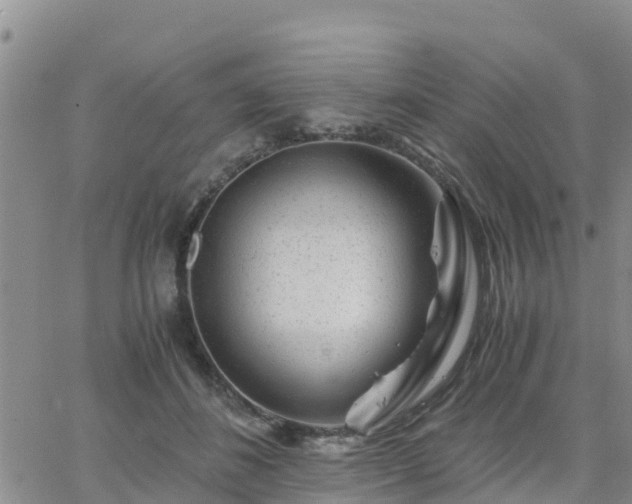 X0000063500508200601231440