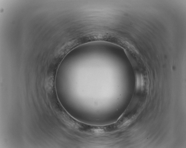 X0000063500509200601231440