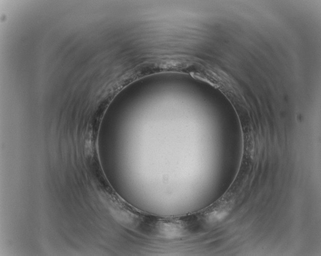 X0000063500510200601231440