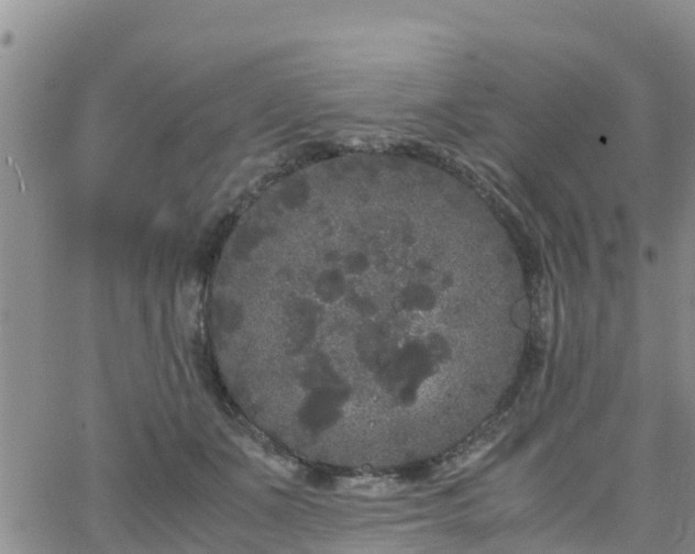 X0000063500511200601231440