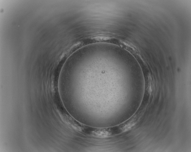 X0000063500512200601231440