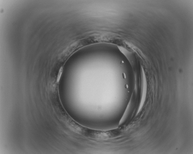 X0000063500513200601231440