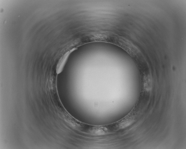 X0000063500514200601231440