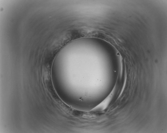 X0000063500515200601231440