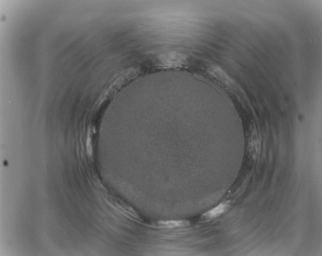 X0000063500516200601231440