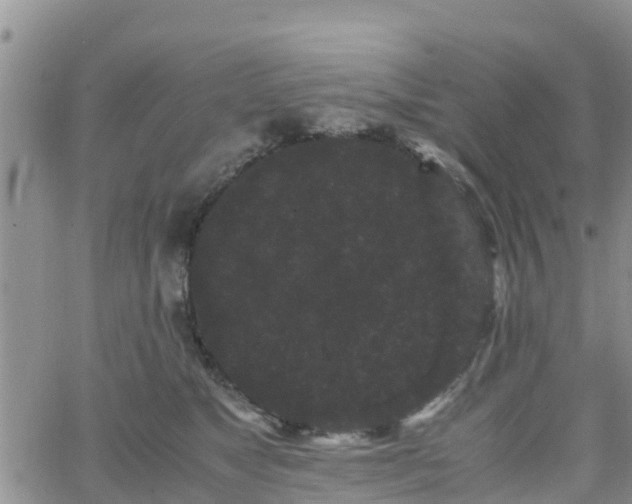 X0000063500517200601231440