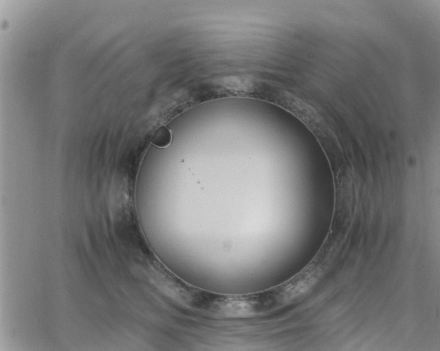 X0000063500518200601231440