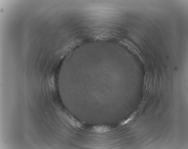 X0000063500520200601231440