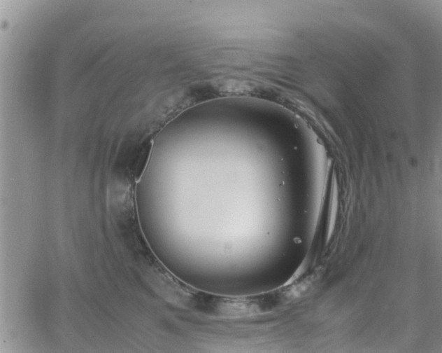 X0000063500521200601231440