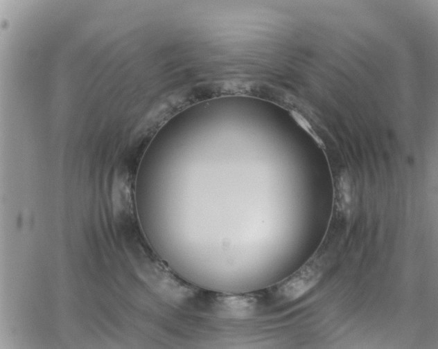 X0000063500522200601231440