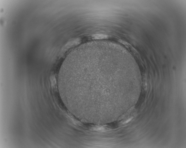 X0000063500523200601231440